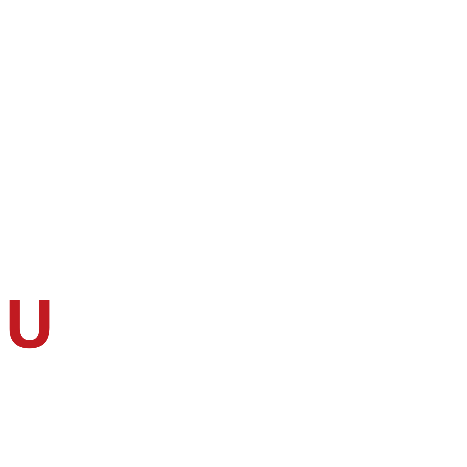 Ureatei Lite -Japan BBQ- 